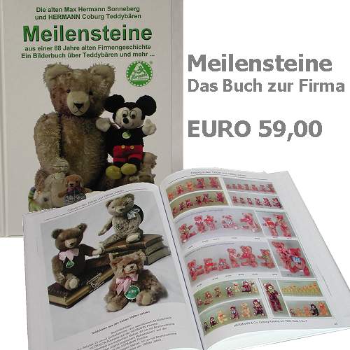 Buch Meilensteine