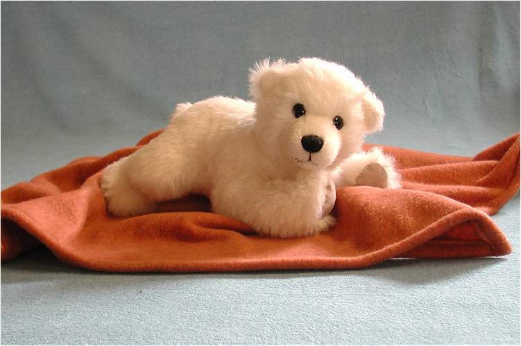 Eib&auml;rbaby Knut