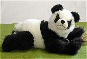 Panda Baby