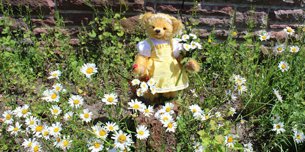hermann spielwaren teddy bears
