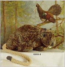 Jahrestier 1996 Die Ratte